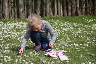 Natuurdag scouting (3)