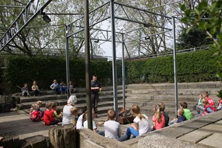 Natuurdag scouting (4)